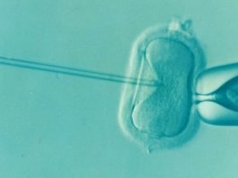 Victorian government cracks down on unscrupulous IVF providers