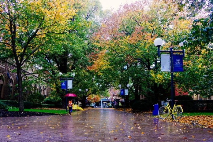 Melbourne voted third best in the world Melbourne voted third best in the world