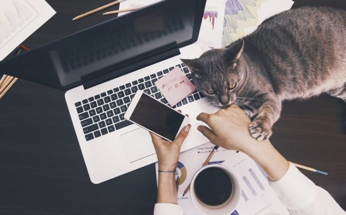 Working from home | image: Shutterstock/Creative Lab