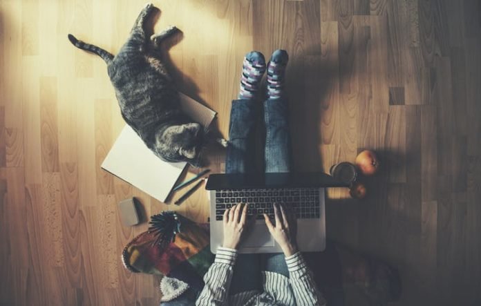 working from home | Image: shutterstock