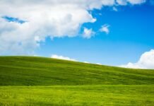 Windows XP turns 20: Microsoft’s rise and fall points to one thing — don’t fix what isn’t broken Windows XP