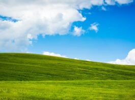 Windows XP