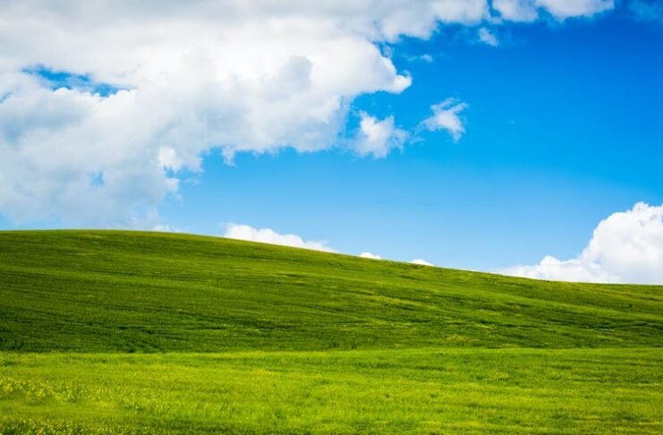 Windows XP