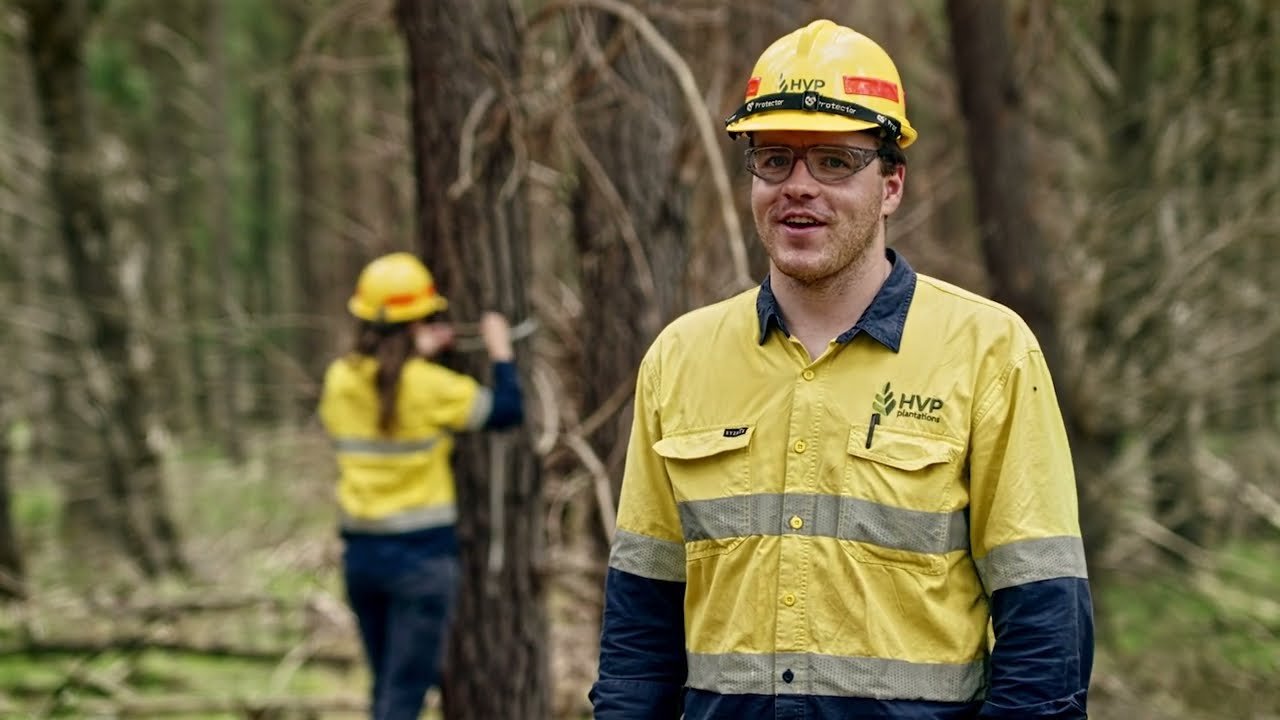 Planting millions more trees to create thousands of jobs in Victoria